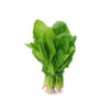 Fresh Broccoli 100% Natural (800g) - Image 2