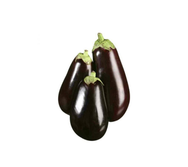 Eggplant Big Size F1 Hybrid Pack of 1kg